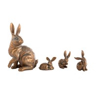 Sitter- Rabbit, Family