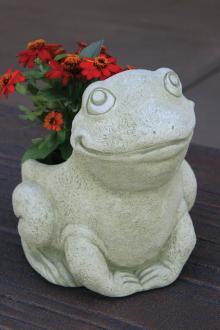 Planter- Ribbit the Frog