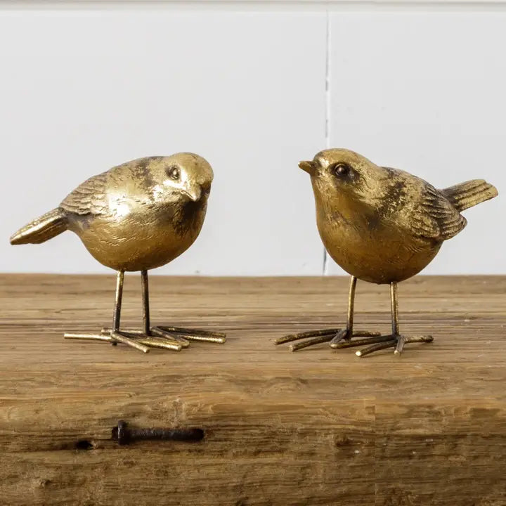 Sitter, Brass Birds (ADHG)