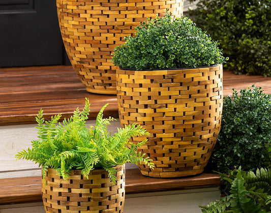 Planter- Acacia Woods, Medium