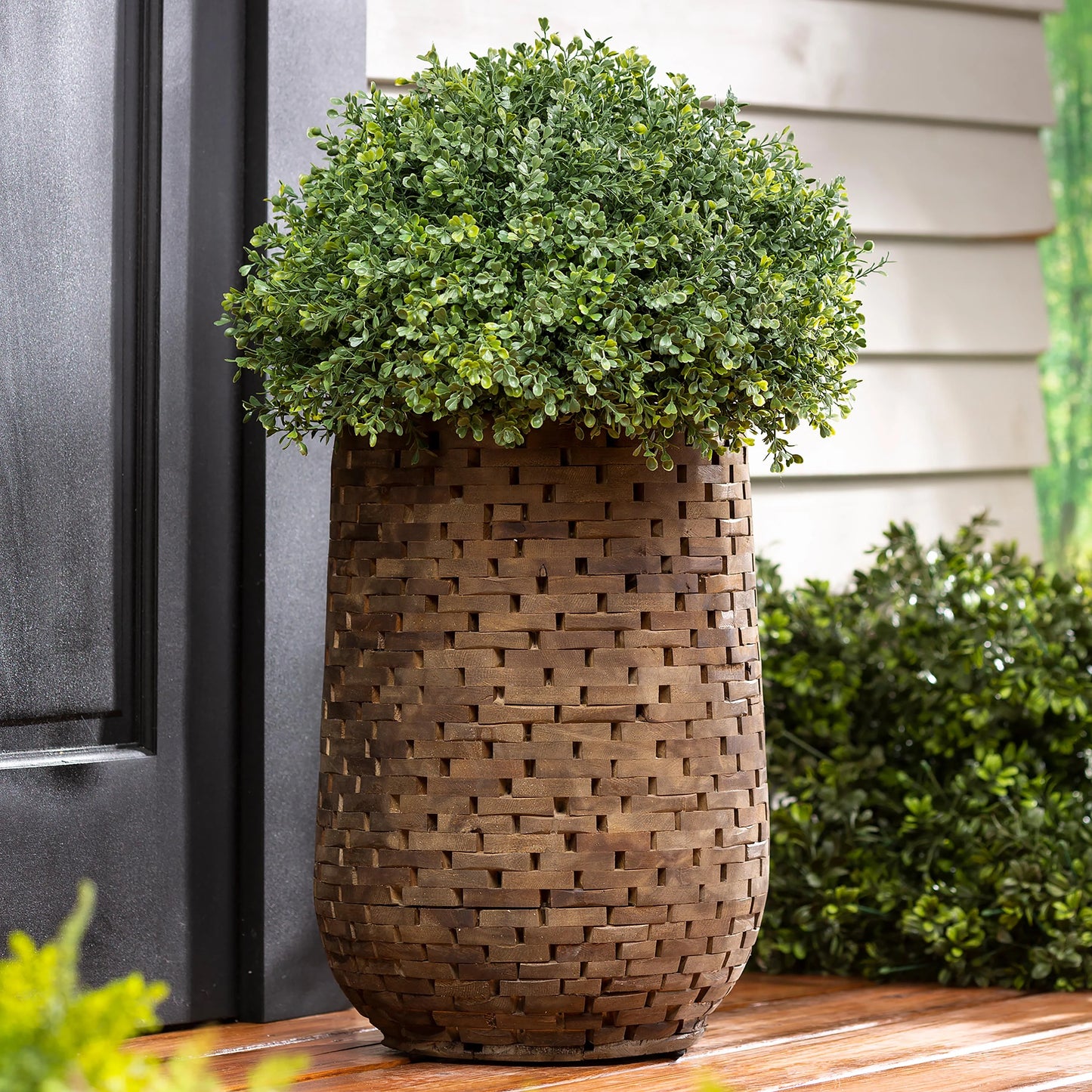 Planter- Acacia Woods, Cylinder