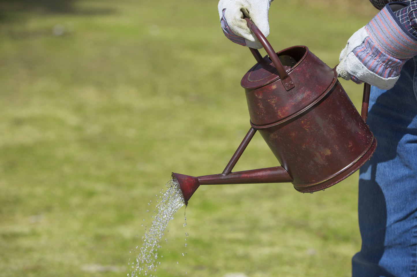 Watering Can, Antique