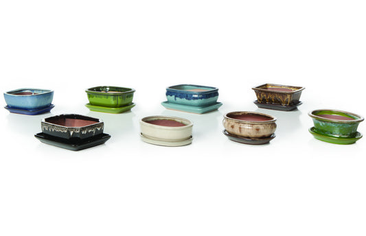 Planter, Glazed, Bonsai with Saucer