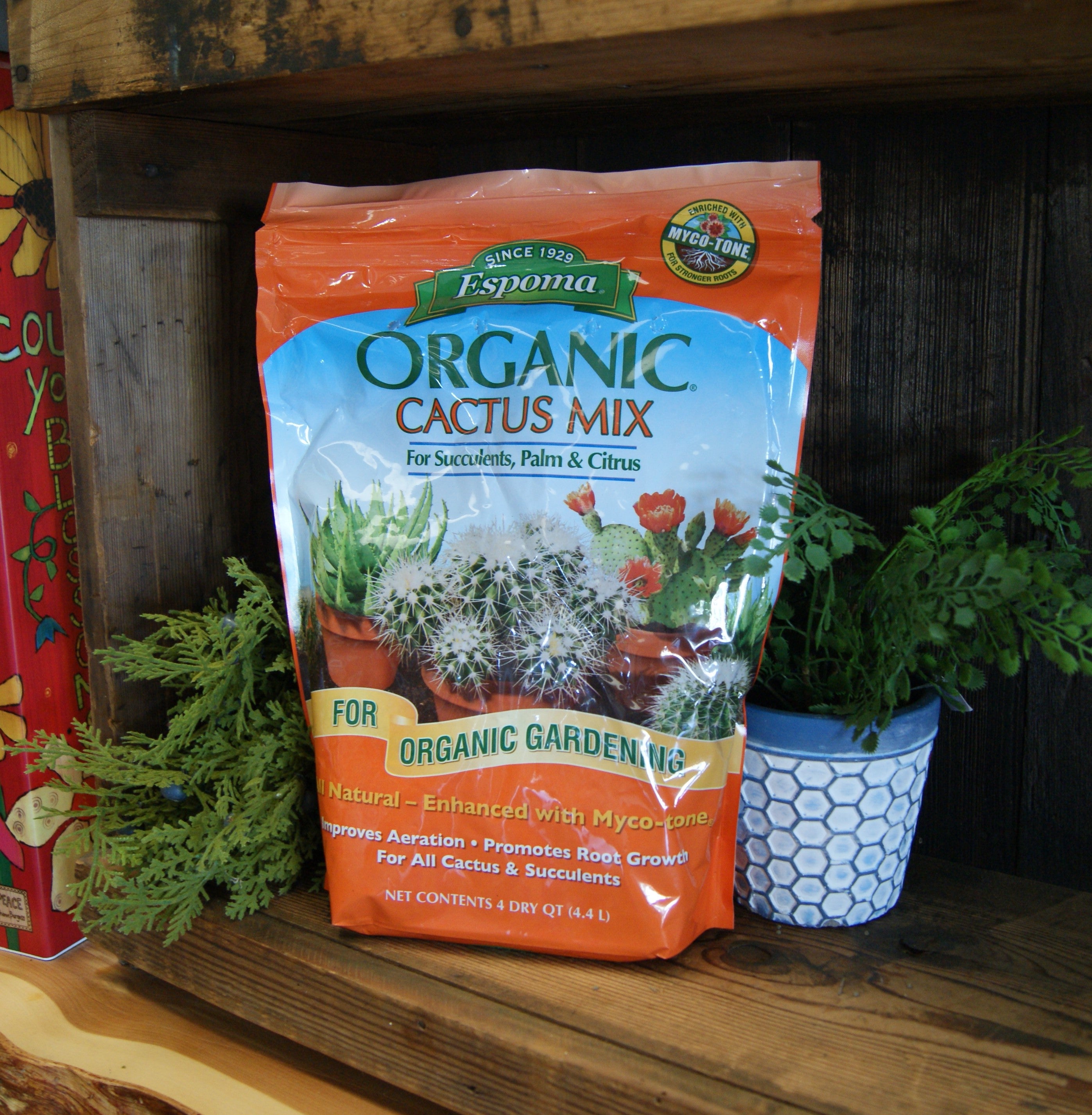 Potting Soil, Espoma, Cactus / Succulent – Passiglia Landscape, Nursery ...