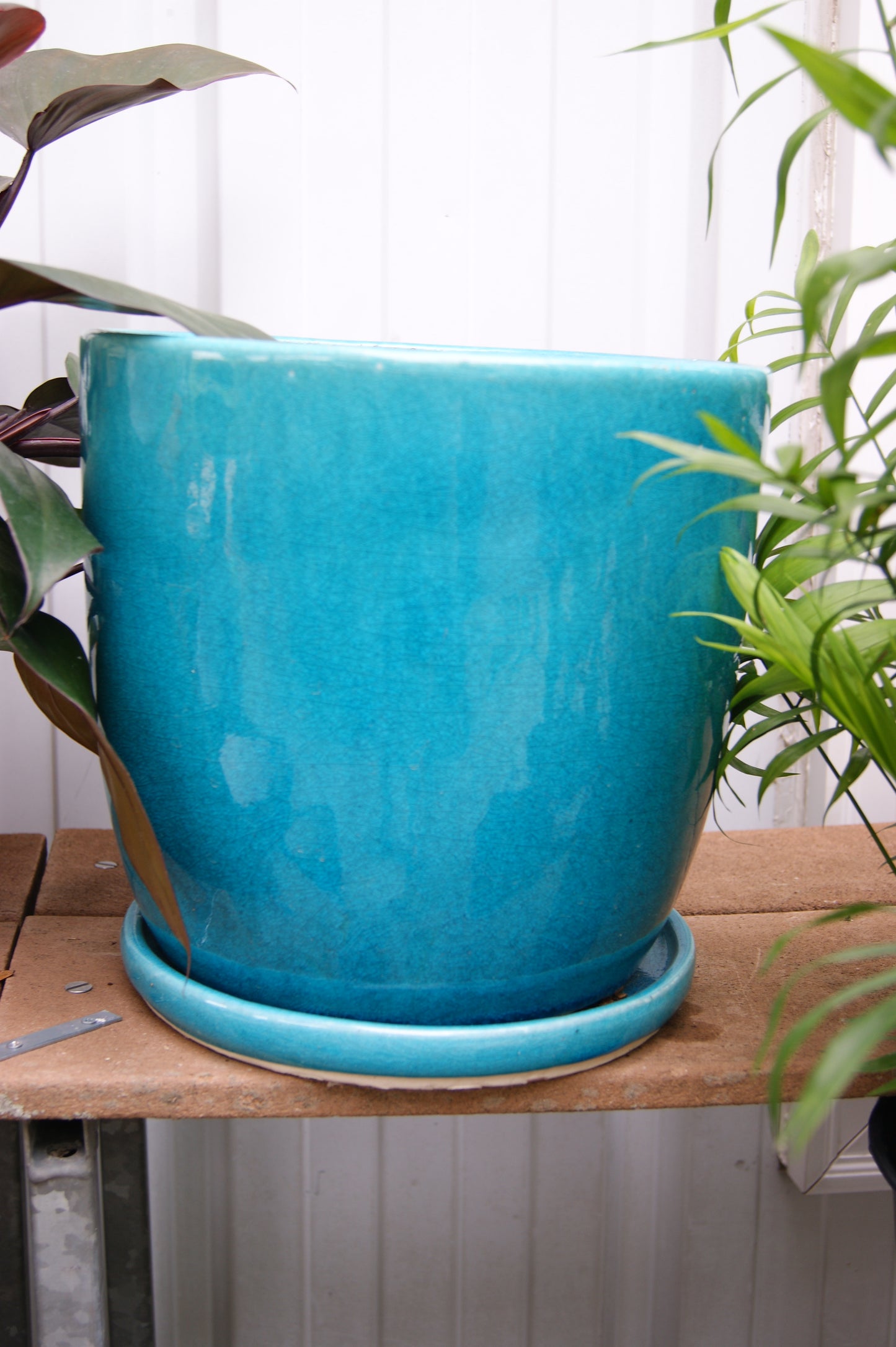 Planter, Glazed, Egg Crackle