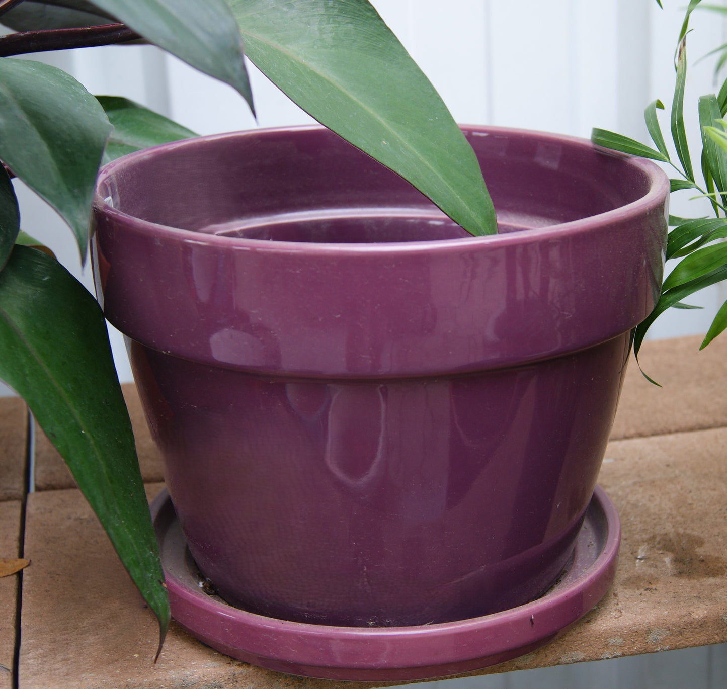 Planter- Floral, Glazed w/ Saucer