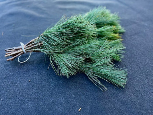 Cuttings, FRESH- Pine, White Tips