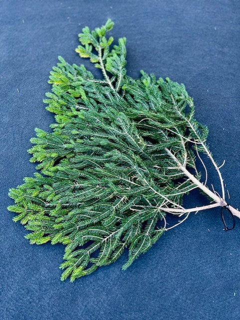 Cuttings, FRESH- Spruce & Fir, Mix