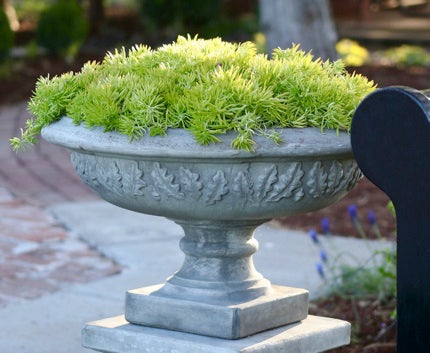 Planter, Concrete, Leaf Motif (H-8810)