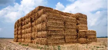 Straw, Bales