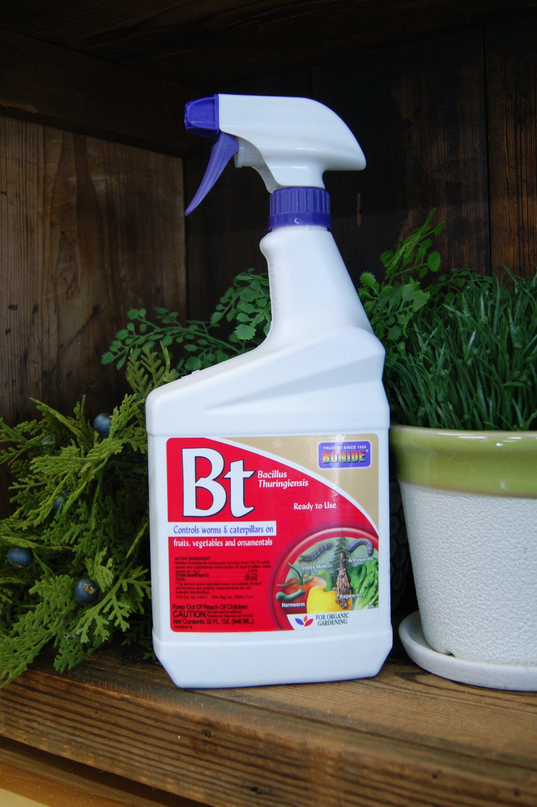 Insecticide, BT – Passiglia Landscape, Nursery & Garden Center