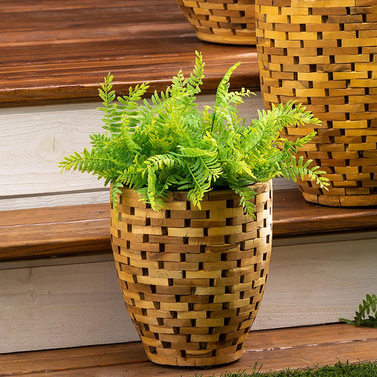 Planter- Acacia Woods, Small