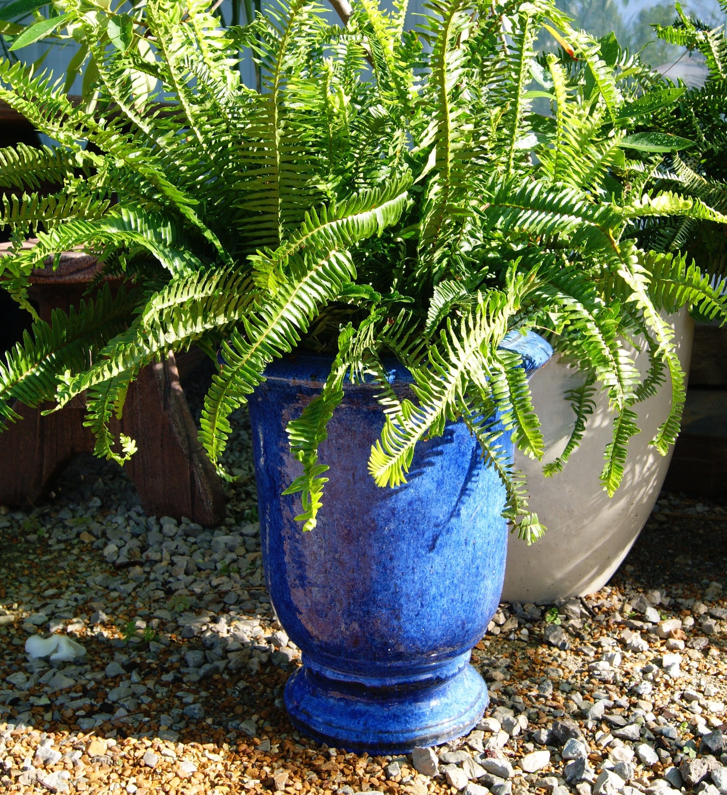 Planter- Urn, Chatsworth SM