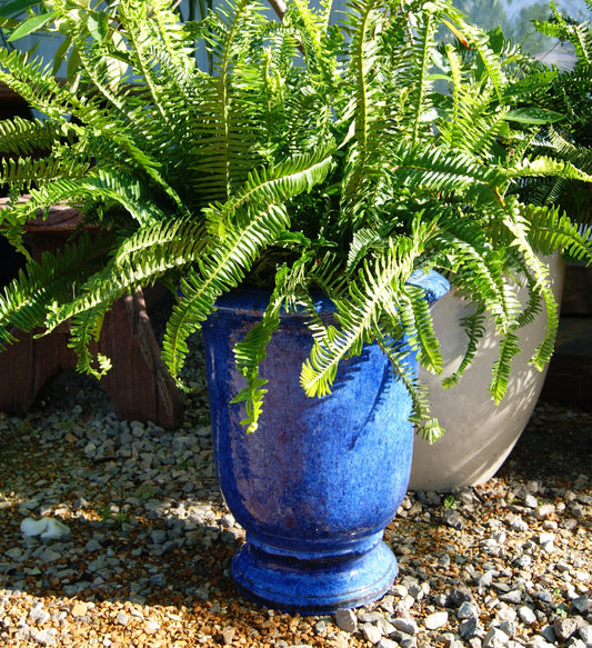 Planter- Urn, Chatsworth SM