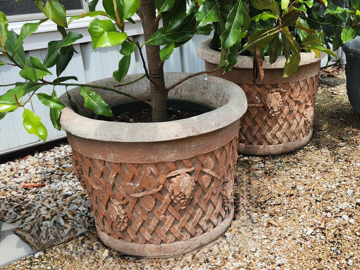 Planter, Concrete, Country Vineyard