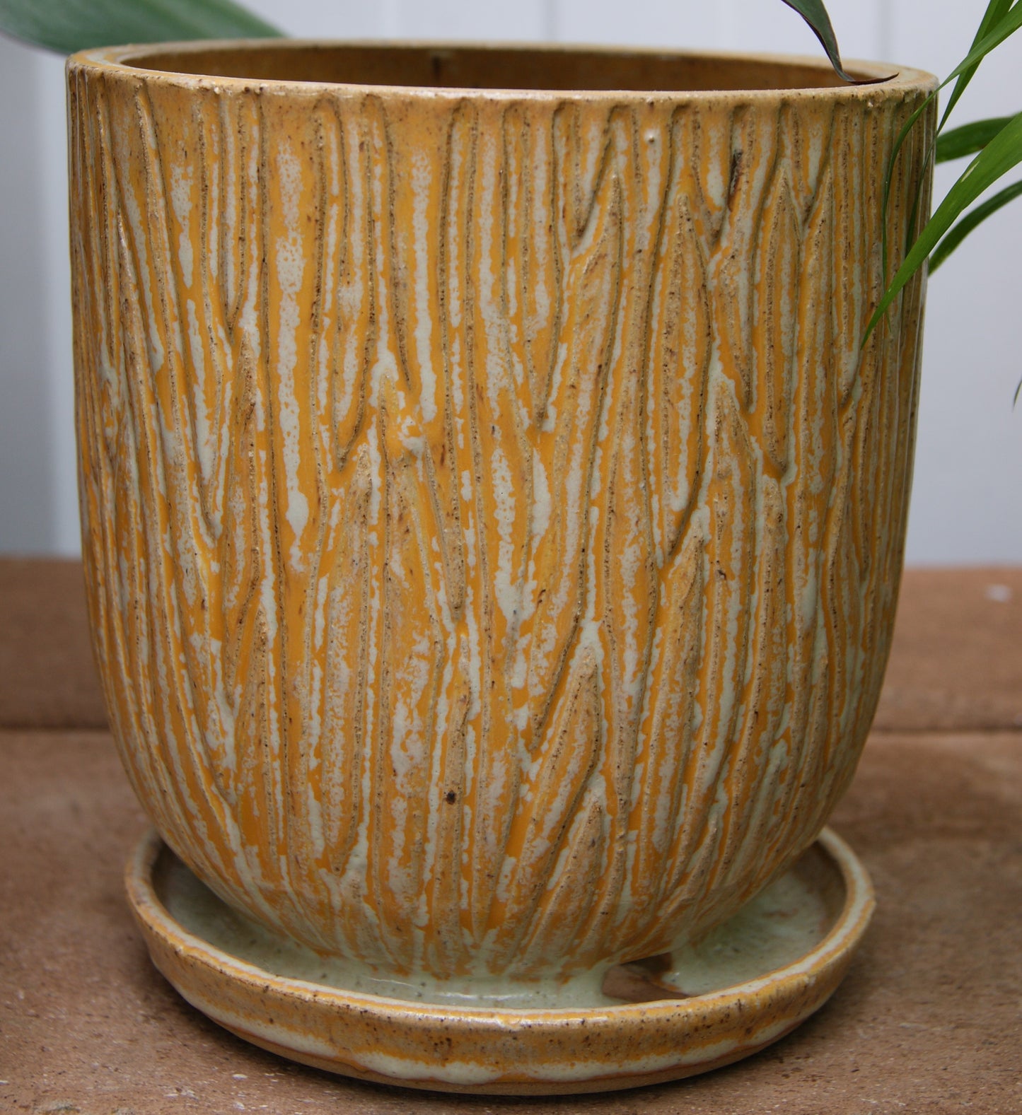 Planter- Oat Carved w/ Saucer