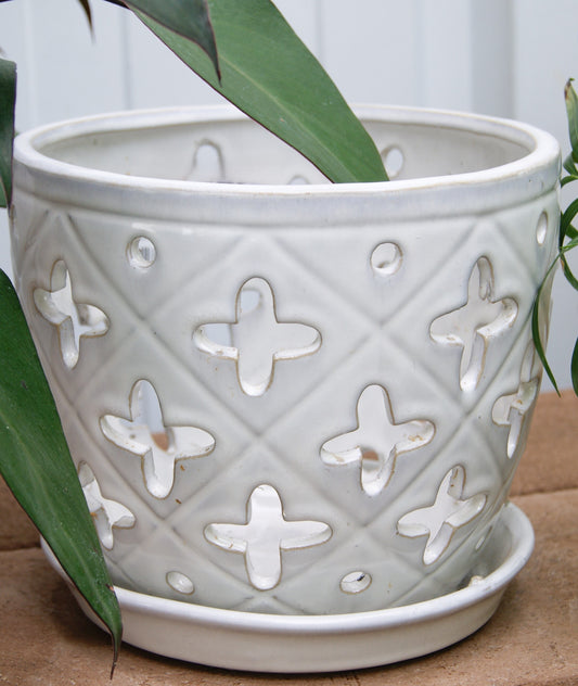 Planter- Orchid Pot w/ Sauce