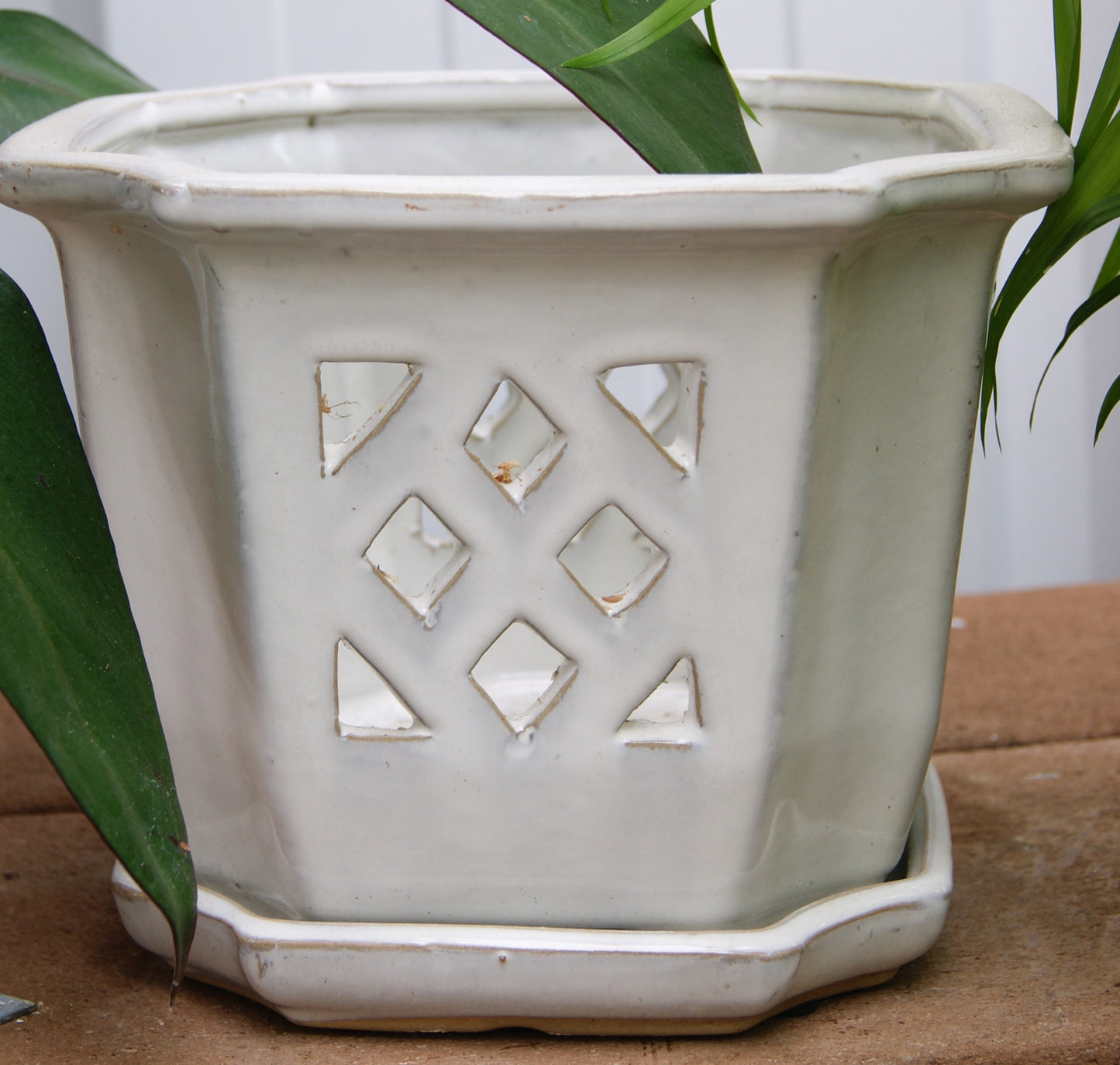 Planter- Orchid Pot w/ Sauce