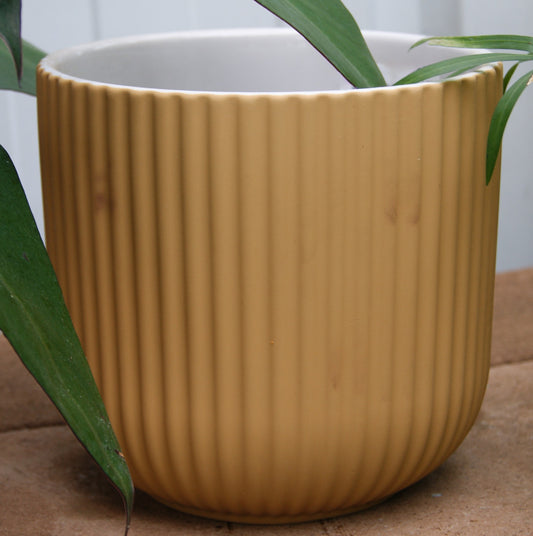 Planter- Rubber Paint