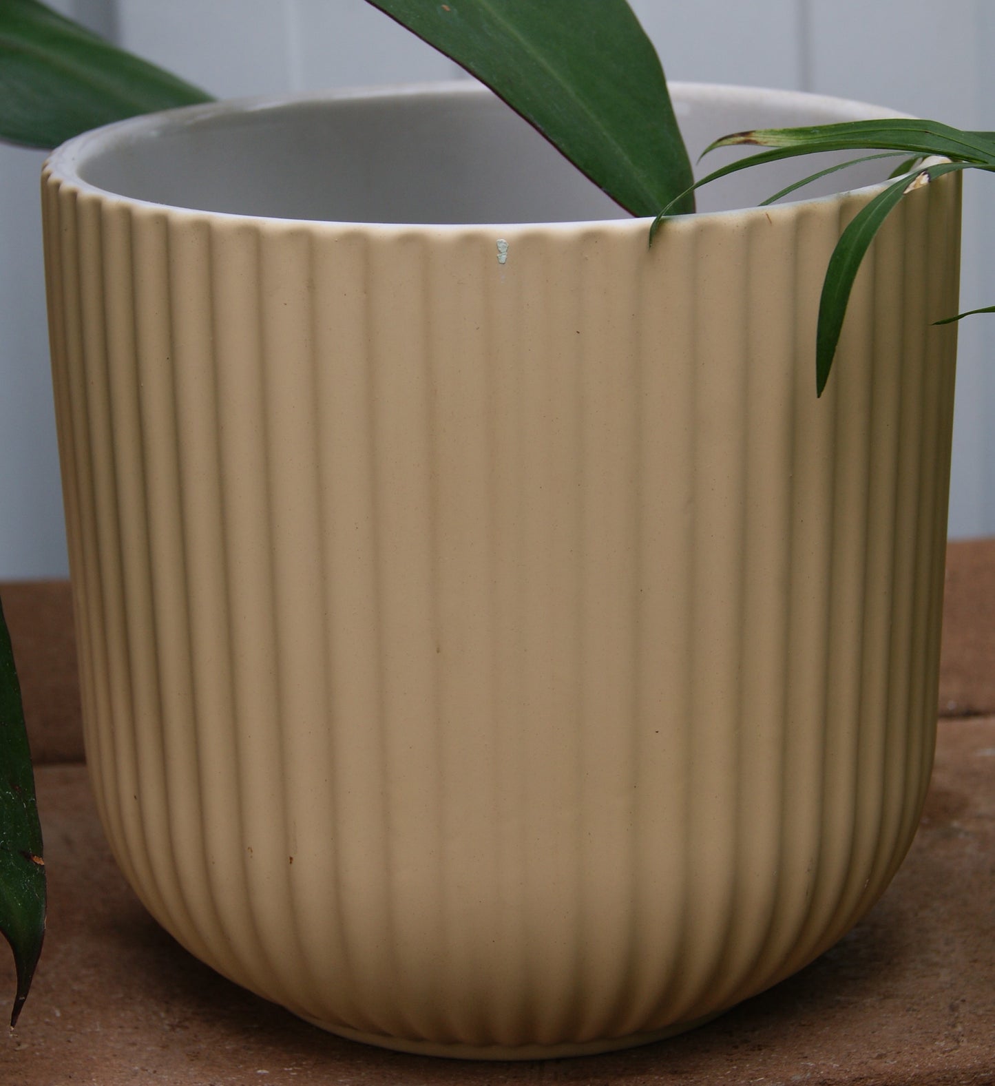 Planter- Rubber Paint