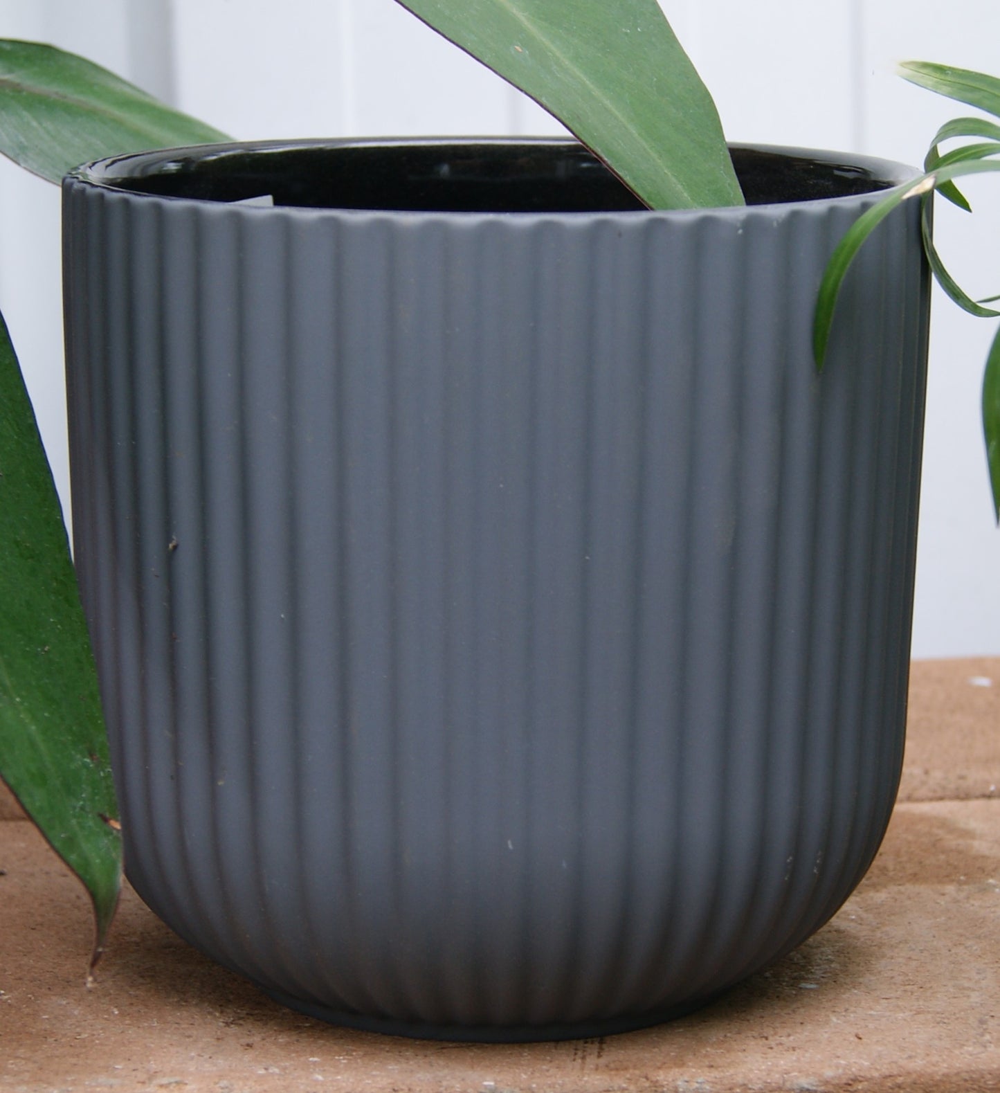 Planter- Rubber Paint