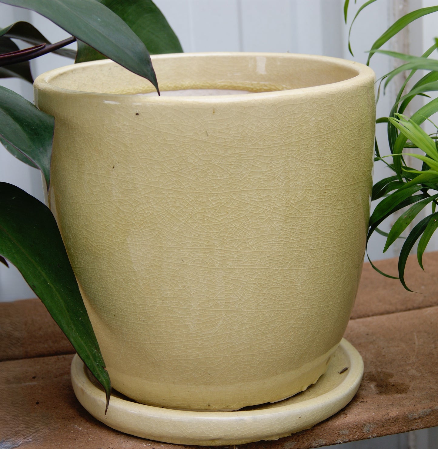 Planter, Glazed, Egg Crackle