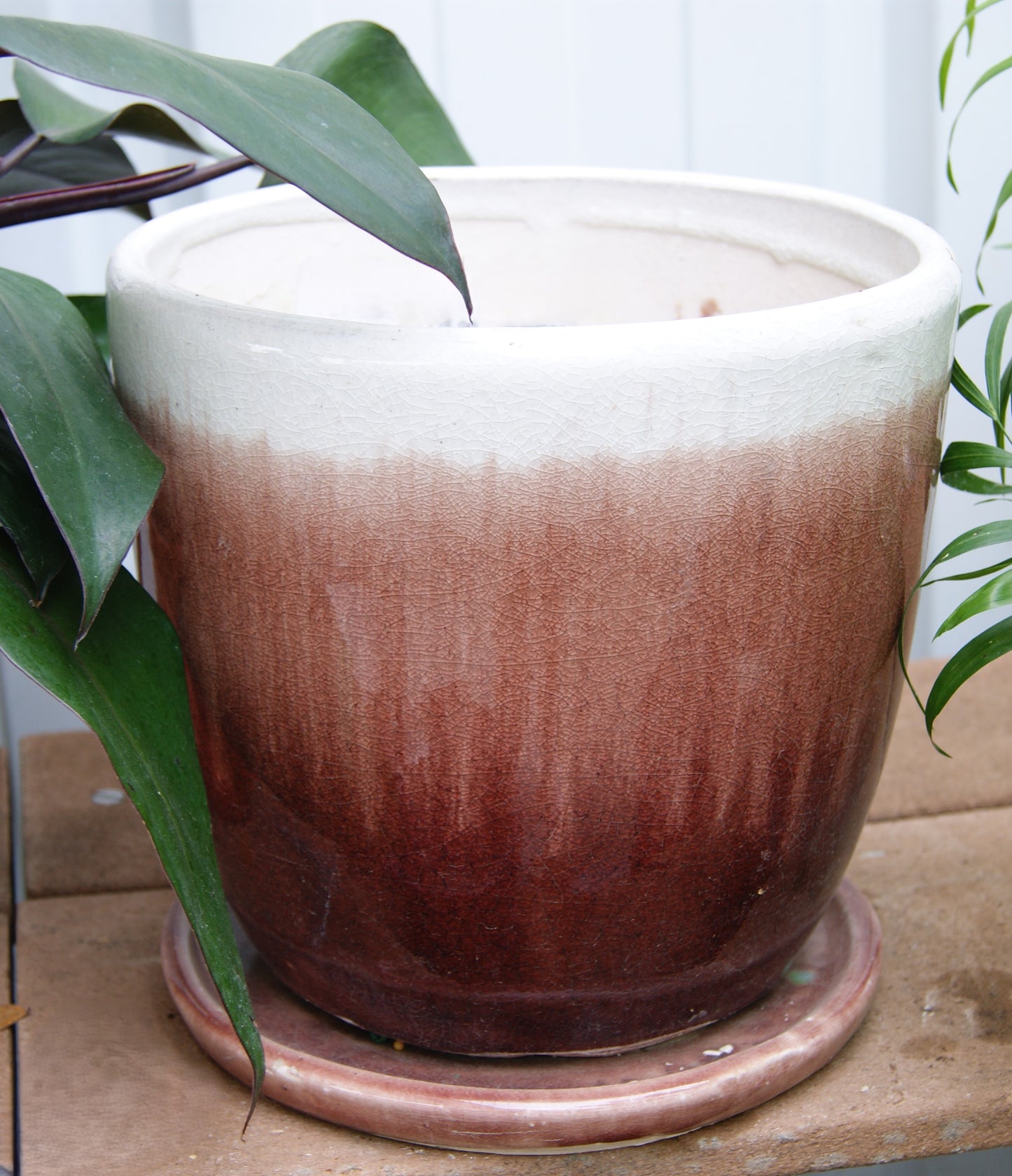 Planter, Glazed, Egg Fusion