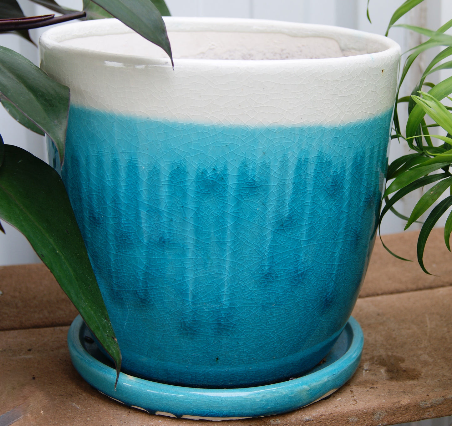 Planter, Glazed, Egg Fusion