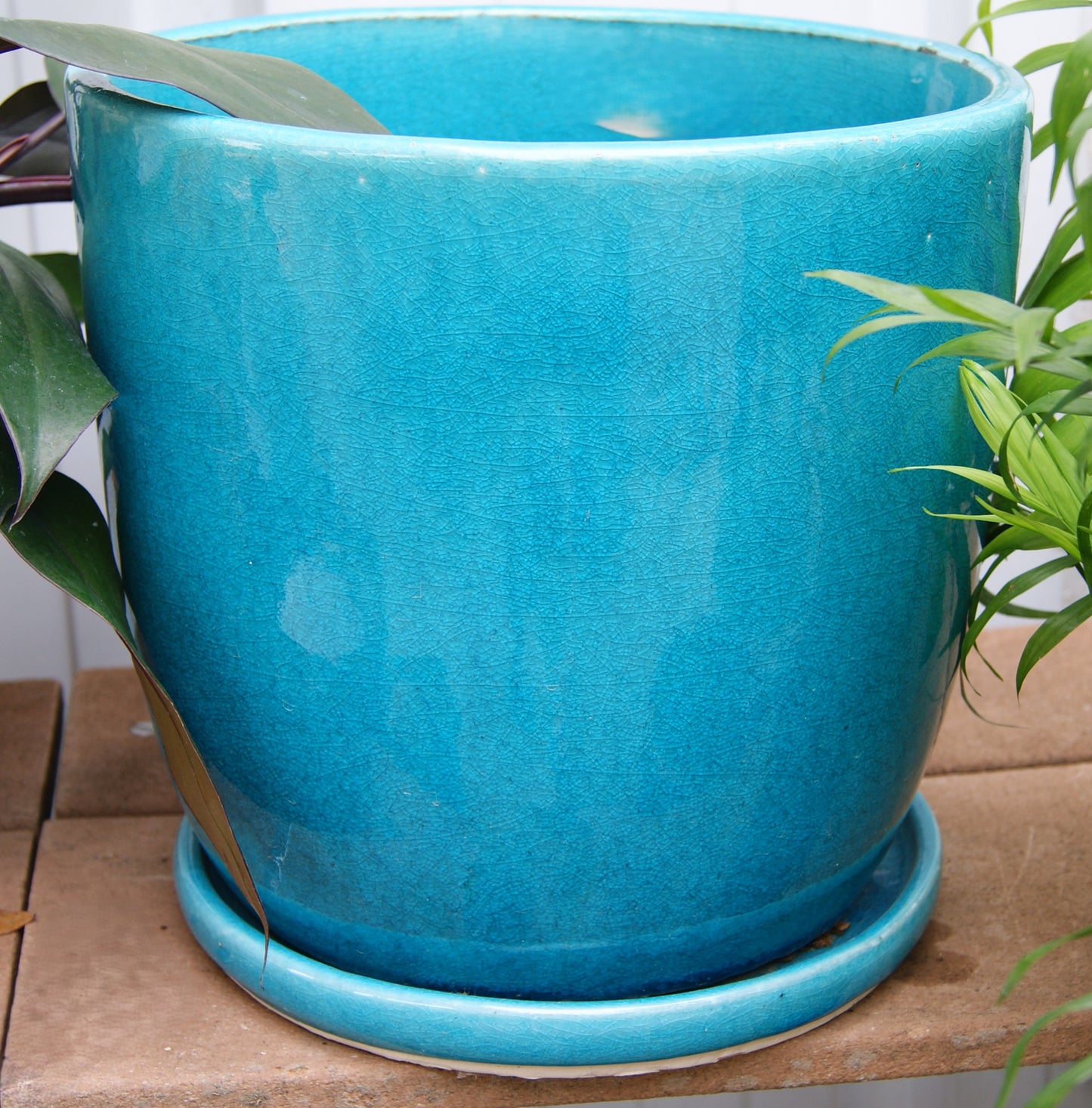 Planter- Egg, Crackle Glazed