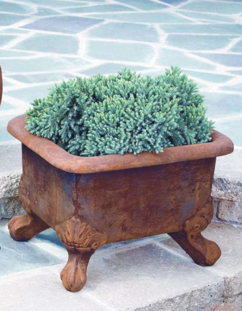 Planter, Concrete, Basin with Feet (M-6940)
