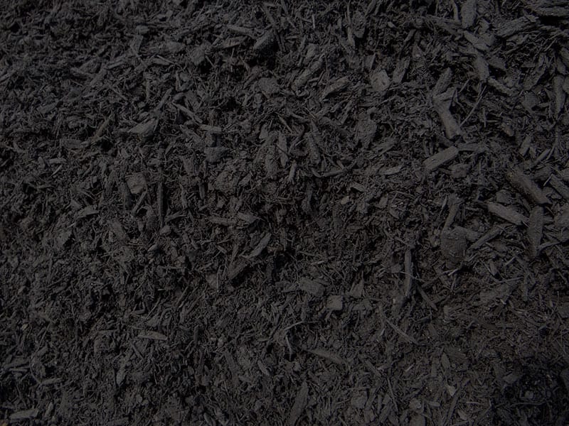 Mulch, BAG- Triple Black Forest