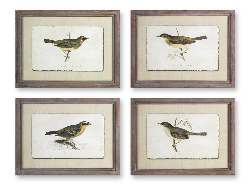 Wall Art- Bird, Framed Print