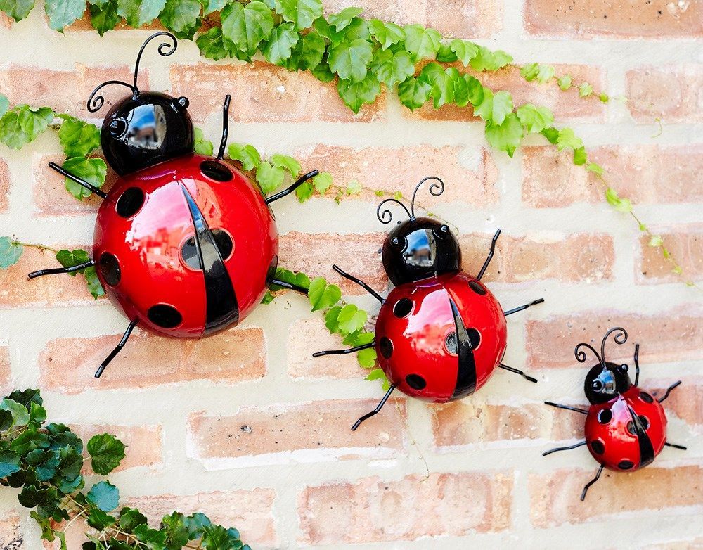 Wall Art- Ladybug