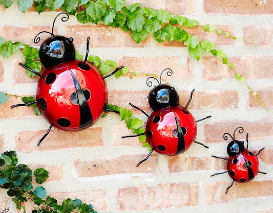 Wall Art- Ladybug