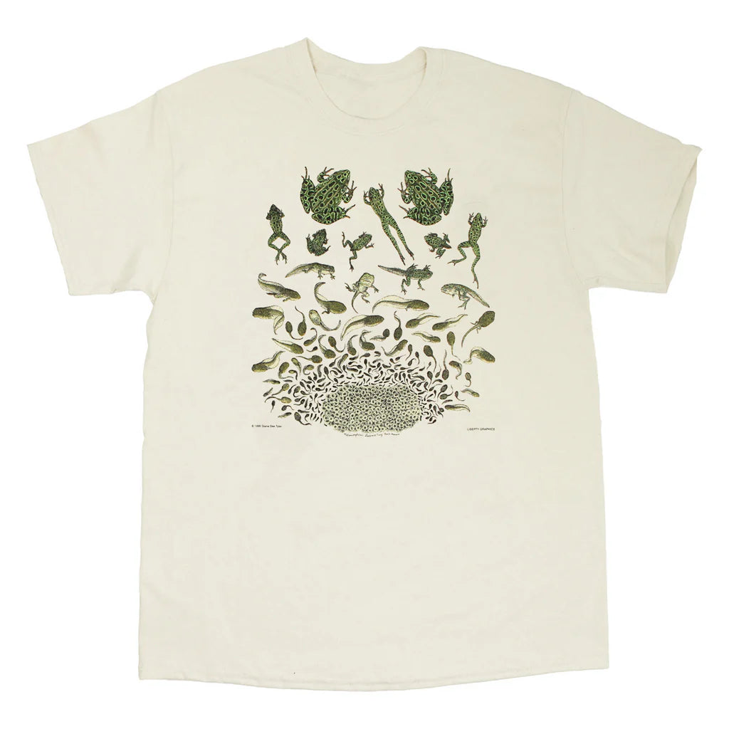 Garment, T-Shirts Frog Metamorphosis