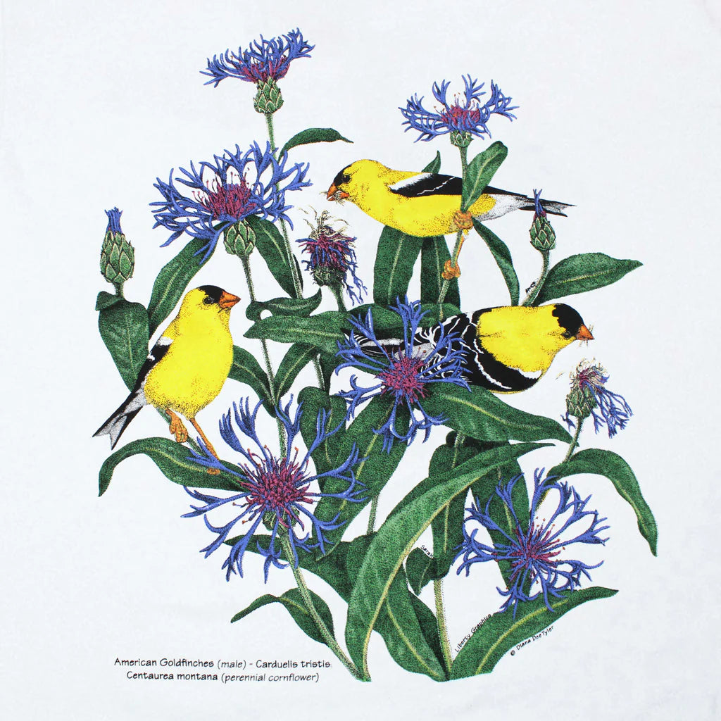 Garment, T-Shirts Goldfinches