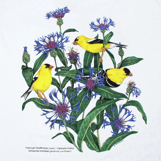 Garment, T-Shirts Goldfinches