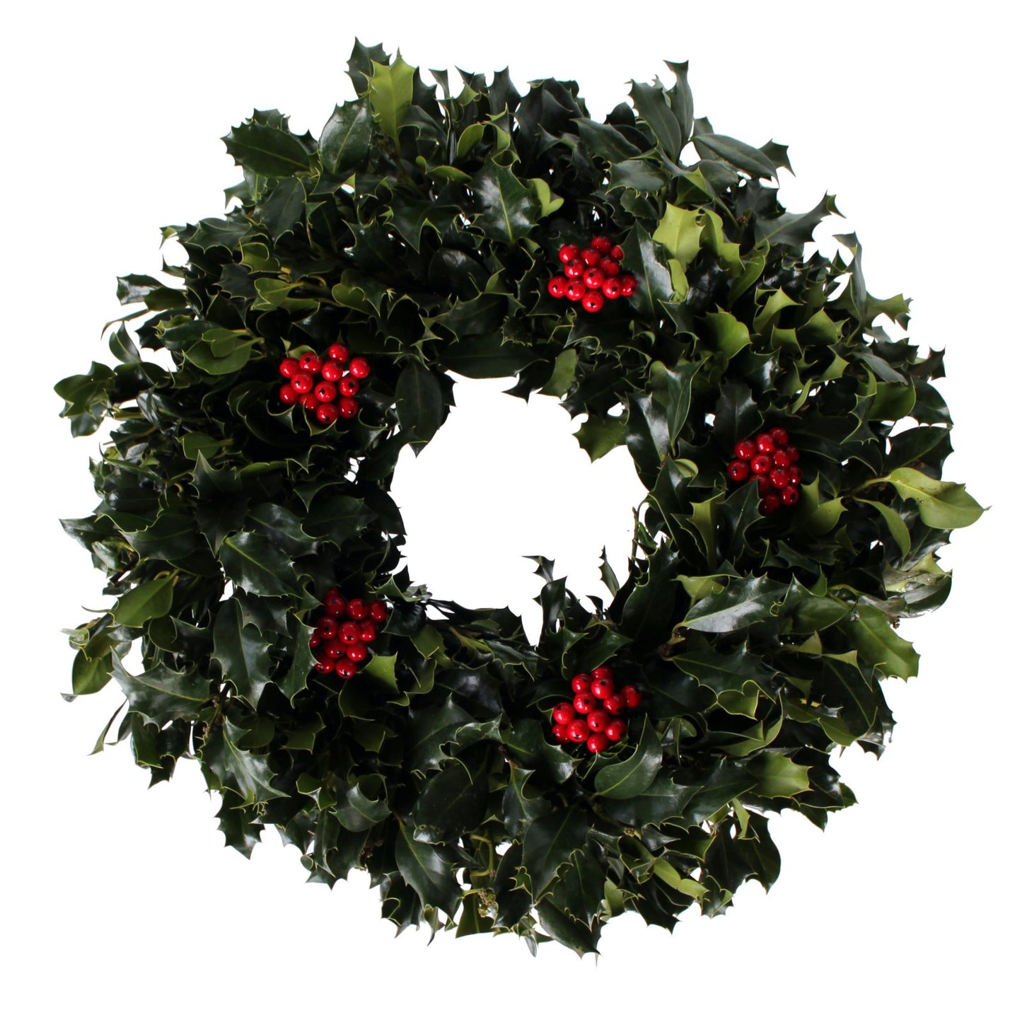 Wreath, FRESH- Holly