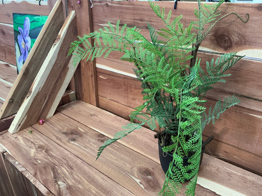Faux, Fern Plant