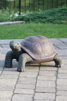 Statuary, Tortoise