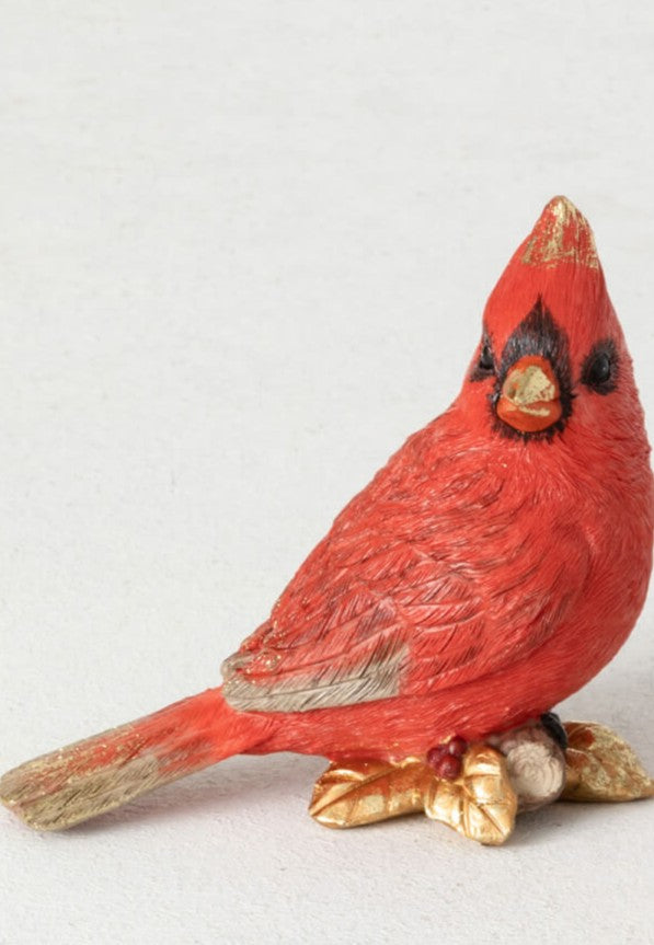 Sitter, Cardinal w/ Gold Leaves