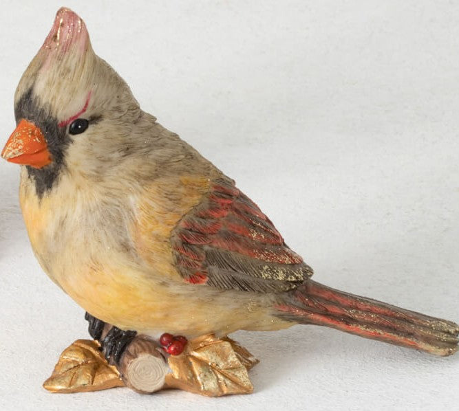 Sitter, Cardinal w/ Gold Leaves