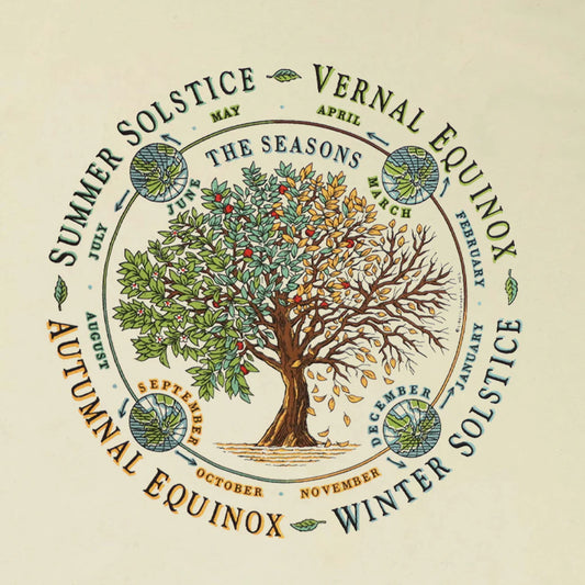 Garment, T-Shirts Seasons