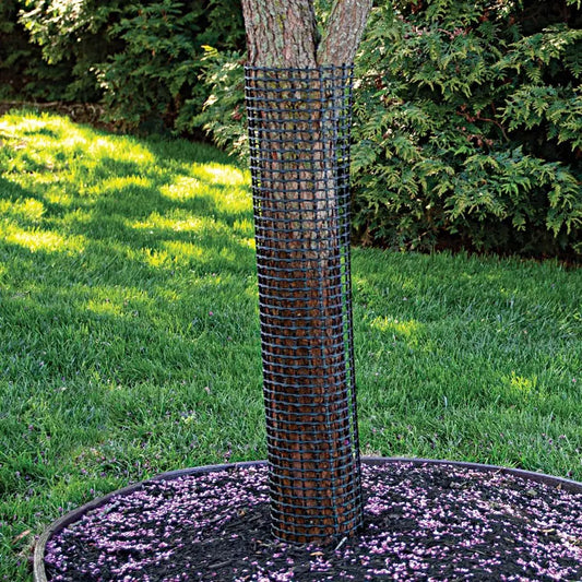 Tree Guard, Rigid Mesh